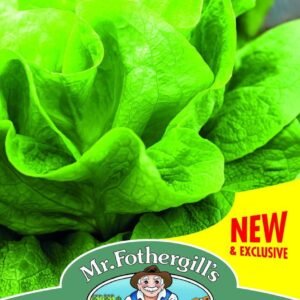 Mr Fothergills Lettuce Gustav's Salad 1000 Seeds