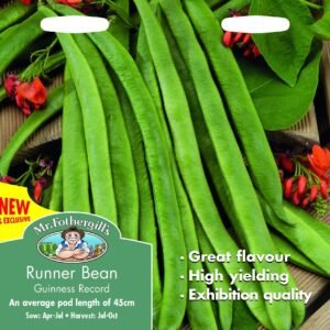 Mr Fothergills Runner Bean Guinness Record 45 Seeds
