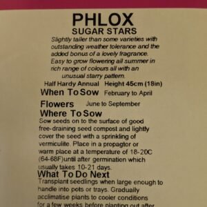 Kings Seeds Phlox Sugar Stars 300 Seed