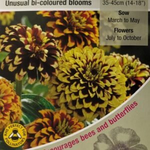 Kings Seeds Zinnia haageana Jazzy Mixed 100 Seed
