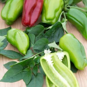 Sweet Pepper Paragon Seeds