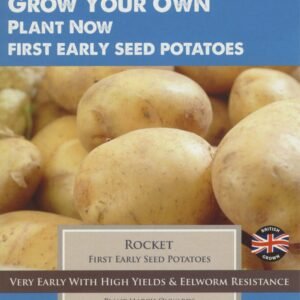 Taylors Seed Potatoes Rocket 10 Tubers First Early