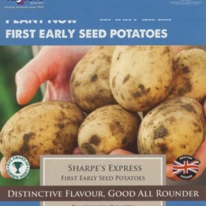 Taylors - LARGE PK SIZE Seed Potatoes- Sharpe's Express - 2kg Tubers - First Early