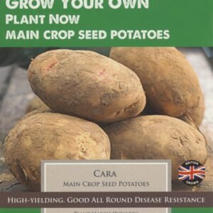 Taylors - Seed Potatoes - Cara - 10 Tubers - Main Crop