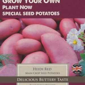 Taylors - Red Seed Potatoes - Heidi Red - 8 Tubers - Main Crop