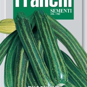 Franchi - 146/002 - Courgette - Striato D'Italia - Seeds
