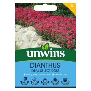 Unwins Flower Dianthus Ideal Select Rose - 20 Seeds