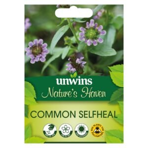 Unwins Flower Native British Isles Wildflower Common Selfheal - 200 Seeds