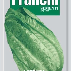Franchi Seeds of Italy - DBO 84/4 - Lettuce - Romana Bionda Degli Ortolani - Seeds