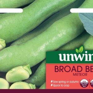 Unwins Broad Bean Meteor Seeds 45 Seeds