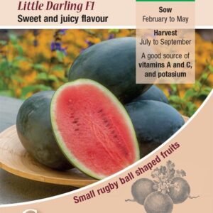 Kings Seeds Melon Little Darling F1 Seeds