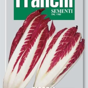 Franchi Seeds of Italy - DBO 40/4 - Chicory - Rossa Di Treviso 3 - Seeds