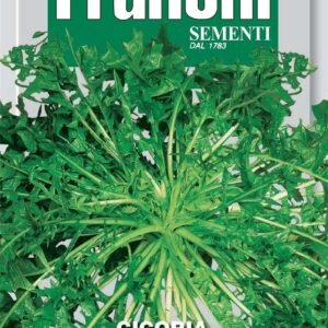 Franchi Seeds of Italy Wild Cichory Selvatica Da Campo Seeds