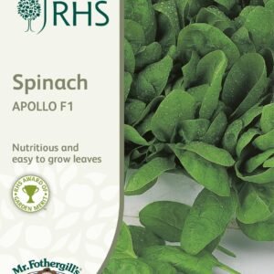 Mr Fothergills - RHS - Vegetable - Spinach - Apollo F1 - 300 Seeds
