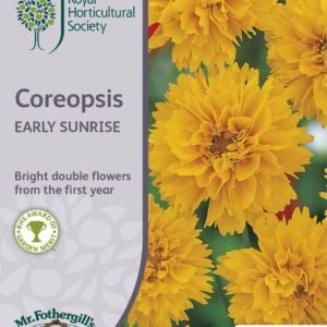 Mr Fothergills RHS Coreopsis Early Sunrise 200 Seeds