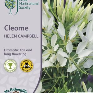 Mr Fothergills RHS Cleome Helen Campbell 250 Seeds