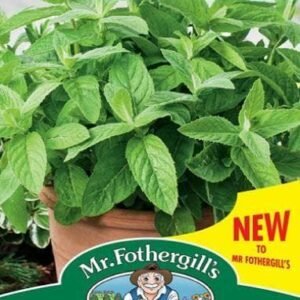Mr Fothergills - Herb - Mint - Applemint - 500 Seeds