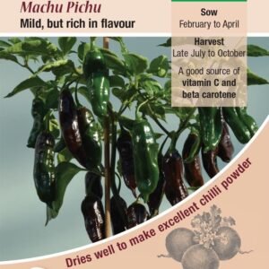 Kings Seeds  Pepper Chilli Machu Pichu Seeds