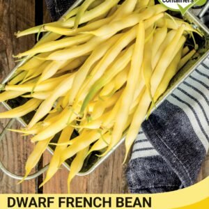 Thompson & Morgan  Vegetable Dwarf French Bean Adoration (Yellow) - 40 Seeds