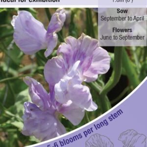 Kings Seeds Sweet Pea Chatsworth 20 Seeds