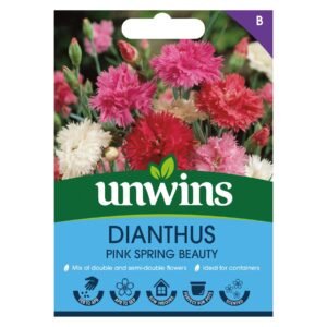 Unwins Flower Dianthus Pink Spring Beauty - 150 Seeds