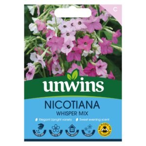 Unwins Flower Nicotiana Whisper Mix - 50 Seeds