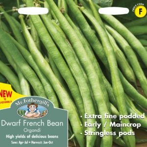 Mr Fothergills - Vegetable - Dwarf French Bean - Organdi - 100 Seeds