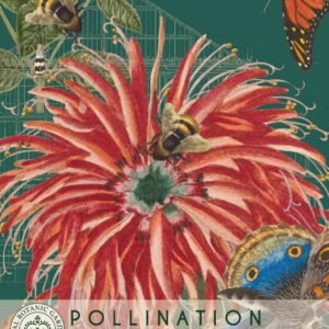 Thompson & Morgan Kew Pollinators Flower Bee Balm - 80 Seeds