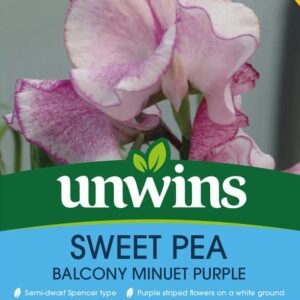 Unwins Flower Sweet Pea Balcony Minuet Purple - 21 Seeds