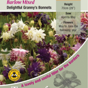 Kings Seeds Aquilegia Barlow Mixed 200 Seed
