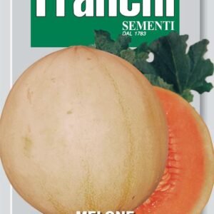 Franchi Seeds of Italy - DBO 91/7 - Melon - Rampicante Zuccherino - Seeds
