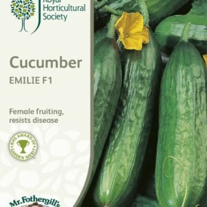 Mr Fothergills RHS Cucumber Emilie F1 10 Seeds