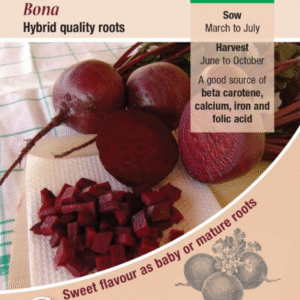 Kings Seeds Beetroot Bona 250 Seeds