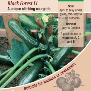 Kings Seeds Courgette Black Forest F1 - 6 Seeds