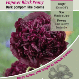 Kings Seeds Poppy Black Peony 150 Seed