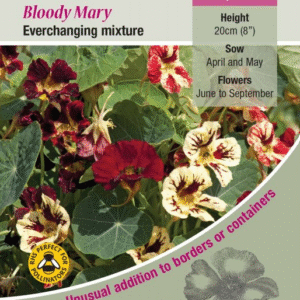 Kings Seeds  Nasturtium Bloody Mary Seeds