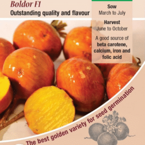 Kings Seeds Beetroot Boldor F1 - 200 Seeds