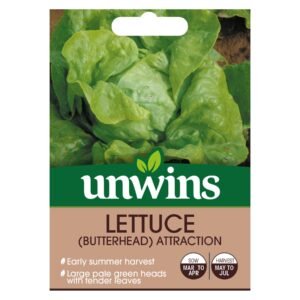 Unwins Herb Lettuce Butterhead Attraction - 1000 Seeds