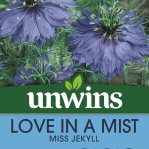 Unwins Nigella Love In A Mist Miss Jekyll 650 Seeds