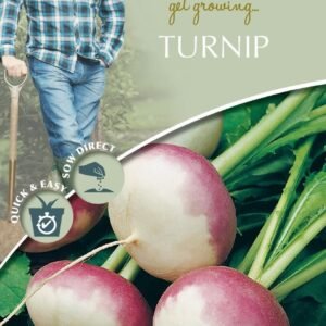 Mr Fothergills - David Domoney - Vegetable - Turnip - Purple Top Milan - 1750 Seeds