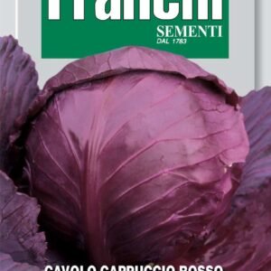 Franchi Seeds of Italy - DBO 29/5 - Red Cabbage - CABEZA NEGRA 3 - Seeds
