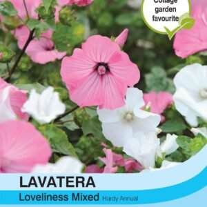Thompson & Morgan Lavatera Loveliness Mixed 200 Seed