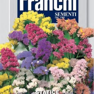Franchi Seeds of Italy - Flower - FDBF_ 352-1 - Statice - Grandi Fiori - Mix - Seeds