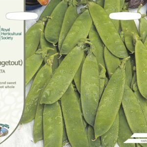 Mr Fothergills RHS Pea (Mangetout) Delikata 150 Seeds