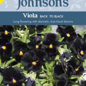 Johnsons Viola Back to Black 100 Seeds
