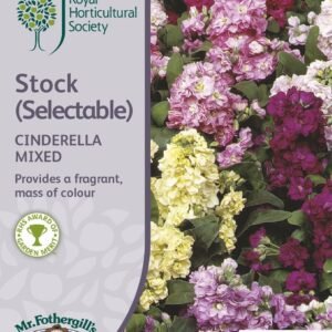 Mr Fothergills RHS Stock Cinderella Series Mixed 50 Seeds