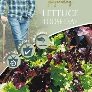 Mr Fothergills - David Domoney - Vegetable - Lettuce - Loose Leaf Red and Green Mix - 1250 Seeds