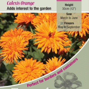 Kings Seeds Calendula Calexis Orange - 100 Seeds