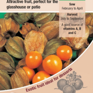 Kings Seeds Cape Gooseberry 35 Seeds