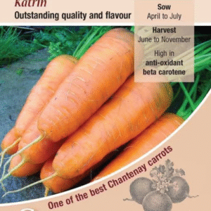 Kings Seeds Carrot Katrin 3000 Seeds